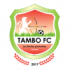 坦博FC